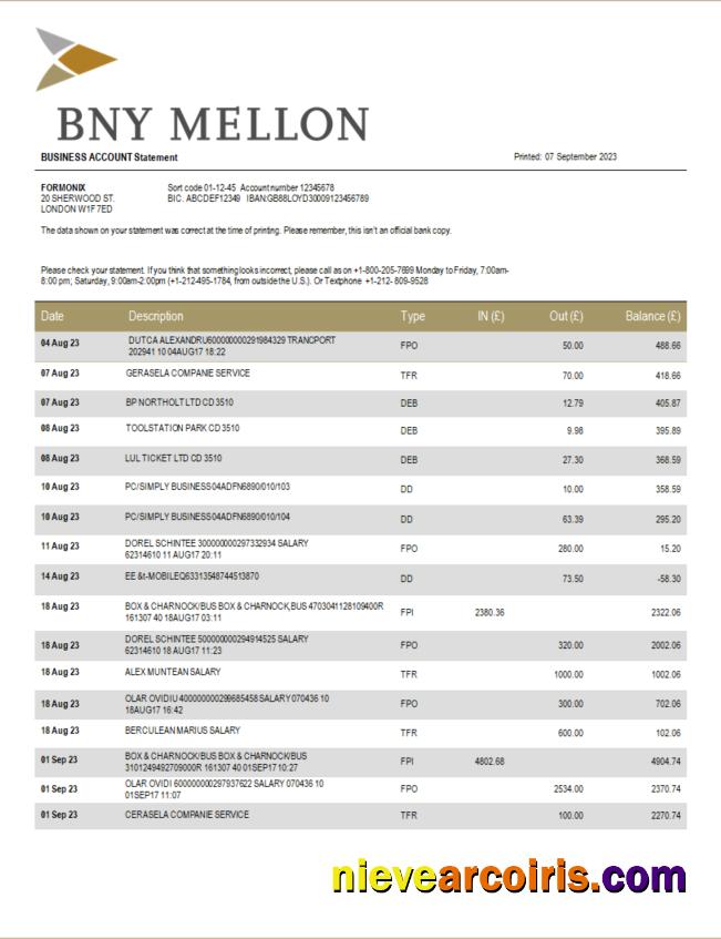BNY Mellon Bank company checking account statement